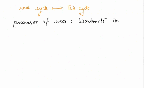 explain-the-link-between-urea-cycle-and-the-tca-cycle-write-professional-relevant-and-to-the-point-answer-otherwise-your-answer-wouldnt-be-accepted-thanks-92204