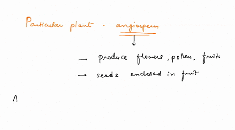 which-of-the-following-lines-of-evidence-would-best-support-your-assertion-that-a-particular-plant-is-an-angiosperm-a-it-produces-seeds-b-it-retains-its-fertilized-egg-within-its-archaegoniu-95984