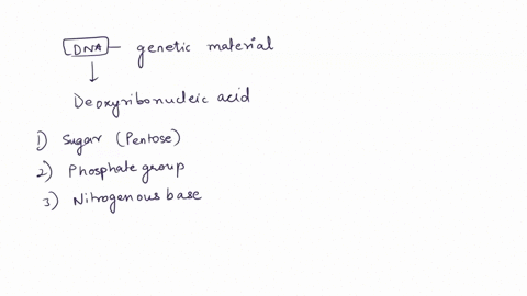 questicn-what-do-genes-consist-of-nucleic-acids-protzins-carbohydrates-lipids-73776