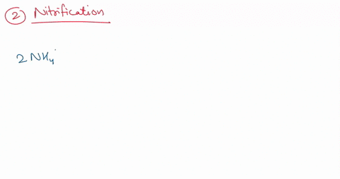 what-is-nitrogen-fixation-discuss-the-role-of-cyanobacteria-in-nitrogen-fixation-80883