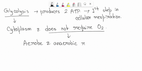 glycolysis-only-produces-a-net-2-atp-per-glucose-molecule-this-doesnt-seem-like-a-lot-of-energy-per-glucose-molecule-so-why-is-glycolysis-used-by-almost-every-living-organism-a-glycolysis-an-96198