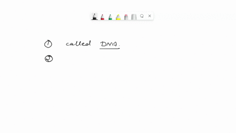 gene-theory-place-the-correct-words-in-each-sentence-to-review-what-determines-what-cell-or-organism-is-iike-labels-may-be-used-once-not-at-all-the-information-that-specifies-what-cell-or-or-76196