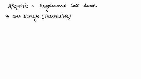 what-is-apoptosis-and-under-what-circumstances-do-cells-undergo-this-process-2-77354
