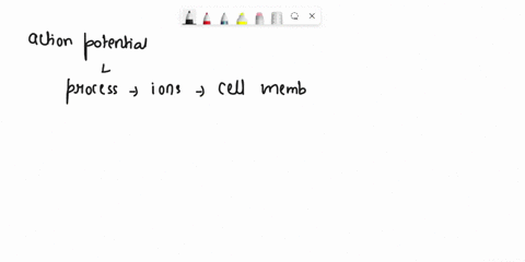 what-depolarizes-a-neuron-in-an-action-potential-sodium-ions-moving-out-of-the-cell-sodium-ions-moving-into-the-cell-potassium-ions-moving-out-of-the-cell-calcium-ions-moving-into-the-cell-69173