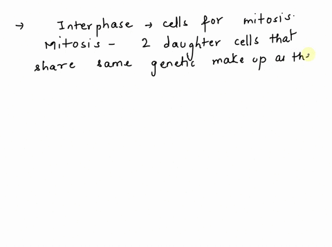 how-does-interphase-prepare-cells-for-mitosis-18628