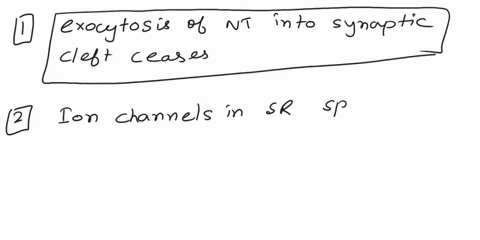 helo-6-which-step-each-phrase-is-de-then-click-and-drag-the-spaces-proviced-in-such-a-waythat-they-accurately-follow-the-sequence-of-events-associated-with-muscle-fiber-regarding-the-relaxat-19442