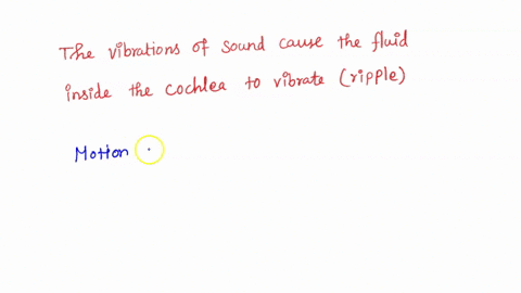what-causes-vibrations-in-the-fluid-in-the-cochlea-a-the-eardrum-pushes-against-the-cochlea-b-sound-62424