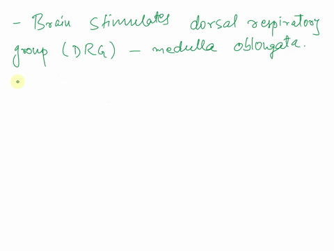 which-area-of-the-brain-stimulates-the-diaphragm-to-contract-to-initiate-inspiration-which-area-of-the-brain-stimulates-the-diaphragm-to-contract-to-initiate-inspiration-apontine-respiratory-08743
