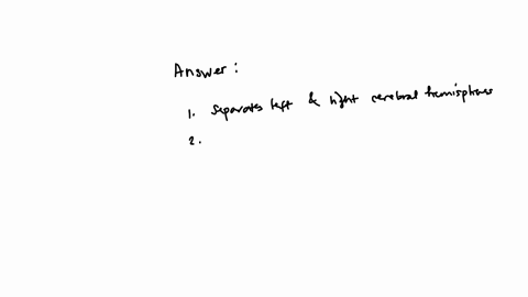 27-multiple-cholce-2-points-the-groove-that-separates-the-left-and-right-cerebral-hemispheres-is-the-longitudinal-fissure-lateral-sulcus-transverse-cerebral-fissure-dorsal-median-fissure-central-sulcu