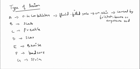 1-given-the-following-examplesname-the-type-of-lesion-a04-cm-blister-bscab-cfreckle-dscar-ebruise-f_bedsore-gstria-he-have-term-for-athletes-foot-is-irene-developed-a-yeast-infection-after-s-98451