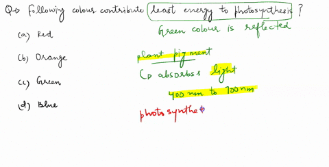 which-of-the-following-colours-contributes-the-least-energy-to-photosynthesis-hint-what-colour-is-reflected-by-plants-red-orange-green-blue-38042