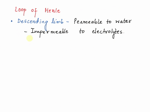 which-of-the-following-processes-is-true-for-the-loop-of-henle-water-moves-into-the-descending-limb-by-osmosis-urea-diffuses-out-of-the-bottom-of-the-ascending-limb-thereby-contributing-to-t-66396