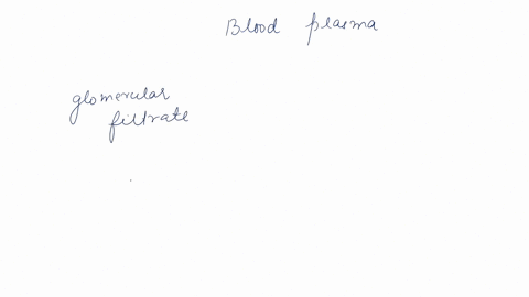 which-one-of-the-following-is-abundant-in-blood-plasma-but-only-in-small-amounts-in-glomerular-filtratea-sodium-ionsb-waterc-glucosed-protein-86834