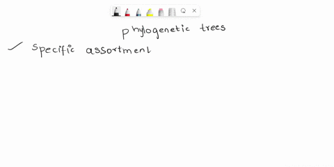 why-are-phylogenetic-trees-considered-to-be-a-type-of-hypothesis-28554