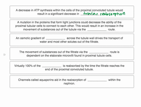 complete-each-statement-by-using-the-appropriate-word-or-phrase-from-the-list-a-decrease-in-atp-synthesis-within-the-cells-of-the-proximal-convoluted-tubule-would-result-in-a-significant-dec-65177