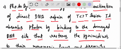 which-of-the-following-repair-mechanisms-is-error-prone-photolyase-excision-repair-recombination-mediated-repair-none-of-the-repair-mechanisms-listed-are-error-prone-synthesis-dependent-stra-73944
