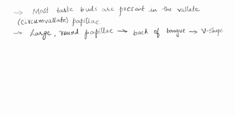 the-most-taste-buds-are-present-in-vallate-circumvallate-papillae-foliate-papillae-filiform-papillae-fungiform-papillae-31429
