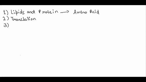 a-protein-complex-in-the-nucleus-is-responsible-for-transporting-mrna-molecules-into-the-cytoplasm-describe-the-proteins-that-form-this-exporter-what-two-protein-groups-are-probably-behind-t-54064