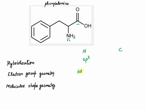 phenylalanine-is-is-an-essential-a-amino-acid-with-the-formula-cgh11-no2-phenylalanine-is-found-in-many-foods-and-used-by-your-body-to-produce-proteins-and-other-important-molecules-it-has-b-73745