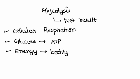 the-net-result-of-glycolysis-of-one-glucose-molecule-i5-the-formation-of-1nadh-and-1-atp-4-nadh-and-2-atp-2-nadh-and-4-atp-2-nadh-and-2-atp-nadh-and-4-atp-49581