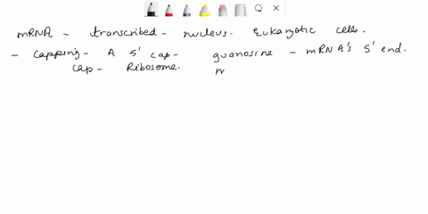 what-are-the-four-things-that-happen-to-mrna-after-its-transcribed-please-make-sure-to-describe-the-4-key-steps-in-the-processing-of-mrna-abici-65195