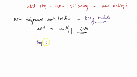 in-polymerase-chain-reaction-one-of-the-steps-involves-cooling-the-dna-to-55-65c-to-allow-specific-dna-primers-to-bind-to-complementary-sequences-on-dna-template-strands-this-step-is-select-47373