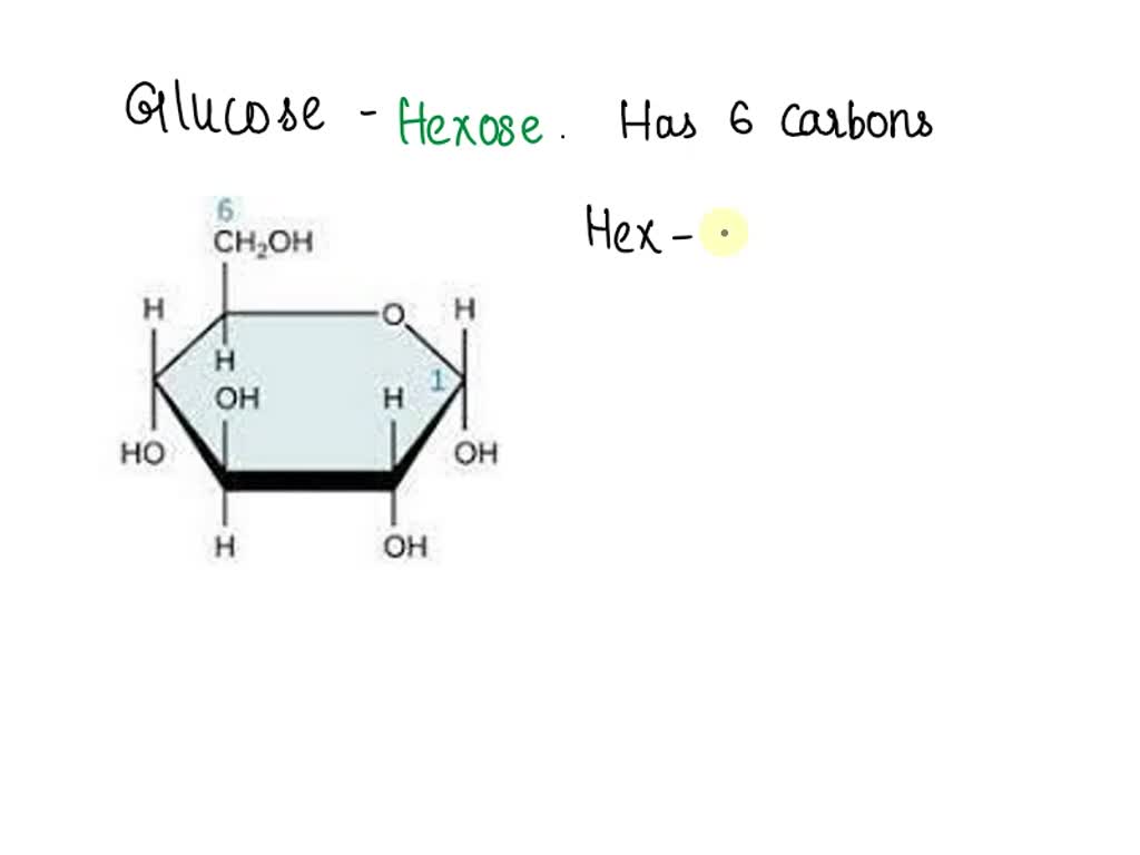 Pyranose structure / pyranose ring / alpha glucose and beta glucose / alpha  glucopyranose - YouTube