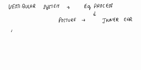 the-system-that-controls-our-balance-is-located-in-the-inner-ear-and-known-as-the-smooth-muscle-system-true-or-false-05244
