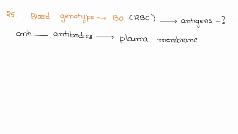 25-a-persons-whose-blood-genotype-is-bo-has-red-blood-cells-with-antigens-bound-membrane-surface-and-anti-antibodies-floating-in-the-plasma-b-and-d-b-b-and-a-a-and-a-d_-a-and-b-26-which-stat-46196