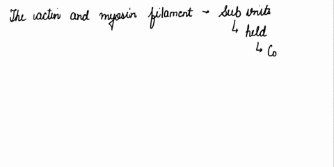 if-both-the-actin-and-myosin-filaments-of-muscle-are-made-up-of-subunits-held-together-by-weak-non-2-56463