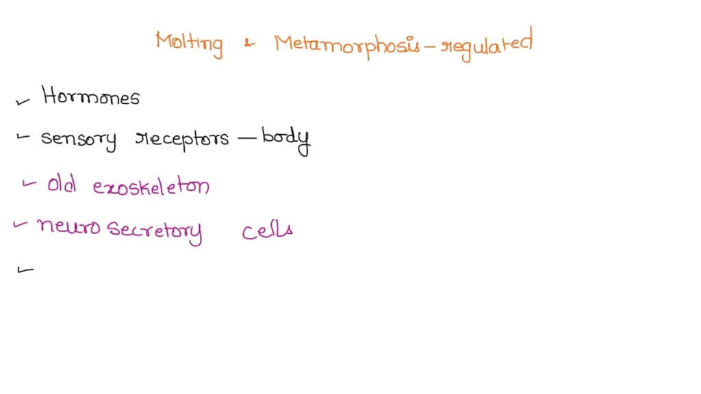 SOLVED: How is insect molting and metamorphosis regulated? Provide