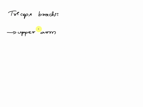 which-structure-is-highlighted-multiple-cholce-biceps-brachii-subscapularis-infraspinatus-triceps-brachi-70878