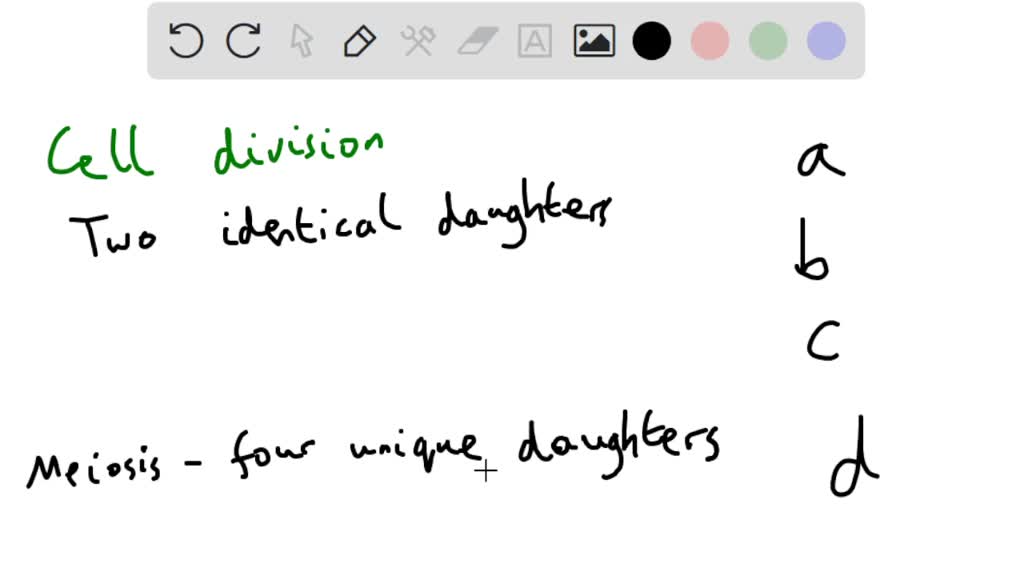 solved-mitosis-maintains-complex-organisms-by-which-of-the-following