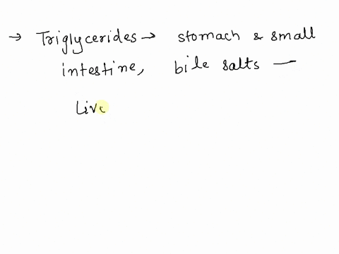 which-substances-are-essential-for-the-digestion-of-triglycerides-a-saliva-amylase-b-bile-salts-lipase-c-bicarbonate-protease-d-hydrochloric-acids-pepsin-55679