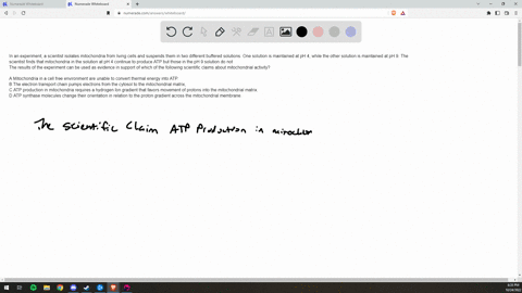 in-an-experiment-a-scientist-isolates-mitochondria-from-living-cells-and-suspends-them-in-two-different-buffered-solutions-one-solution-is-maintained-at-ph-4-while-the-other-solution-is-main-42665