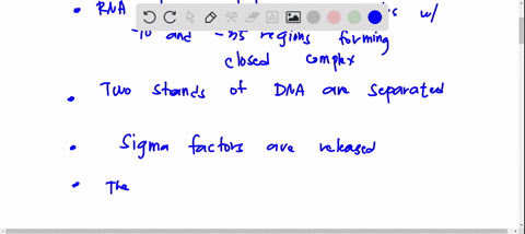 1-arrange-the-correct-order-of-steps-in-bacterial-transcription-rna-polymerase-holoenzyme-associates-with-10-and-35-regions-forming-the-closed-complex-inverted-repeats-and-a-stretch-of-7-9-u-60748