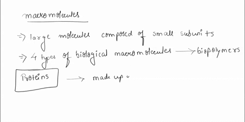 what-is-a-macromolecule-identify-the-four-types-of-biological-macromolecules-21407