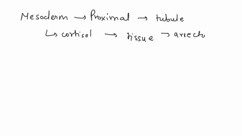 which-primary-germ-layer-endoderm-mesoderm-ectoderm-did-each-tissue-description-derived-from-the-lumenal-lining-of-the-proximal-convoluted-tubule-the-tissue-that-secretes-cortisol-the-muscle-06245