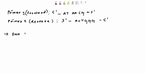 in-order-to-amplify-the-dna-sample-you-nced-to-design-a-6-base-forward-primer-and-a-6-base-reverse-primer-thac-will-allow-for-amplification-ofthe-target-region-located-within-the-brackets-la-87662