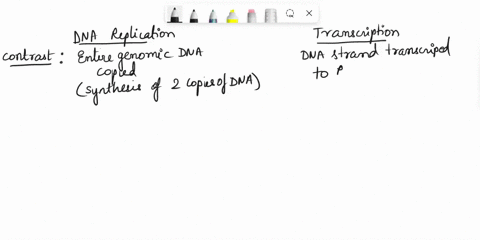 compare-and-contrast-dna-replication-and-transcription-40187