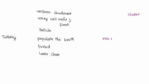 exp-6-transfer-technique-results-broth-culture-results-property-escherichia-broth-to-broth-staphylococcus-slant-to-broth-pellicle-turbidity-sediment-color-agar-slant-results-property-escheri-28597