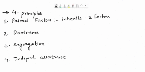 mendel-proposed-four-principles-of-heredity-the-1-principles-of-paired-factors-the-2-principle-dominance-the-3-law-of-segregation-and-the-law-of-independent-assortment-for-each-of-the-four-p-13218