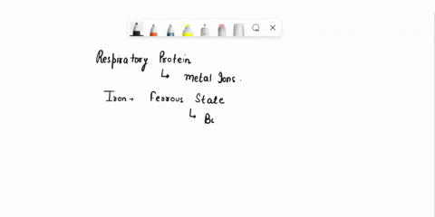 respiratory-proteins-such-as-hemocyanin-___-a-contain-metal-ions-b-occur-only-in-vertebrates-c-incre-84663