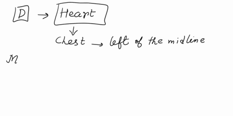 which-of-these-organs-would-not-be-cut-by-a-section-through-the-midsagittal-plane-of-the-body-a-urinary-bladder-b-gallbladder-c-small-intestine-d-heart-39847