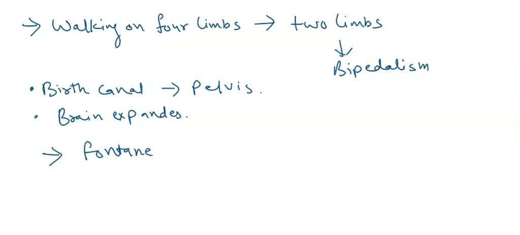 SOLVED: Per textbook and lecture, which trait evolved first, bipedalism ...