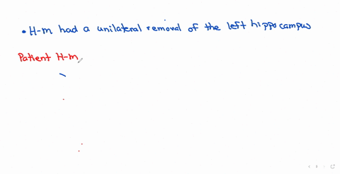 which-of-the-following-statements-about-the-clinical-case-of-hm-is-false-hm-had-profound-anterograde-amnesia-hms-non-declarative-memory-was-intact-hm-was-unable-to-remember-clinicians-he-met-after-the