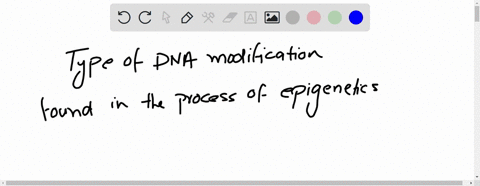 what-type-of-dna-modification-has-been-found-in-the-process-of-epigenetics-a-uridine-methylation-b-thymine-dimerization-c-adenosine-phosphorylation-d-cytosine-methylation-99312