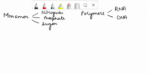 nucleic-acids-are-__________-of-__________-monomers-monosaccharides-monomers-atp-polymers-nucleotides-polymers-camp-polymers-dna-76232