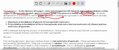 1-describe-at-least-one-way-that-we-utilize-alcohol-fermentation-by-yeast-to-make-a-food-or-beverage-product-2-describe-one-way-that-proteins-can-be-metabolized-and-one-way-lipids-are-metabo-51947