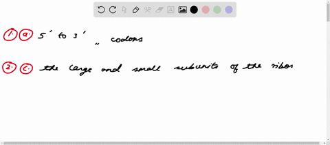 please-answer-all-questions-q1-on-the-ribosome-the-mrna-is-read-from-____-is-a-series-of-three-nucleutides-called_____-a-5-to-3-codons-b-5-to-3-anticodons-c-3-to-5-codons-q2-which-of-the-fol-84198